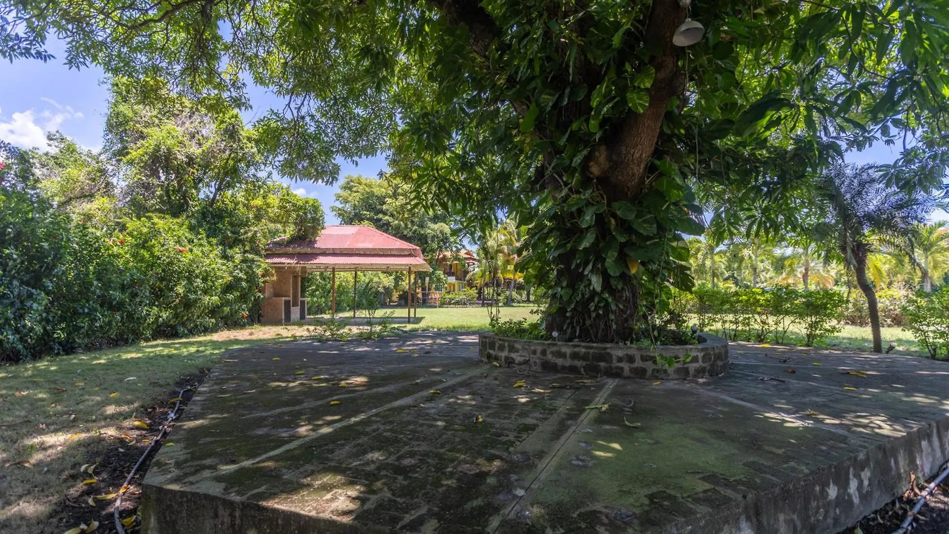 Casa Palmar Guest House Palmar Arriba Country house